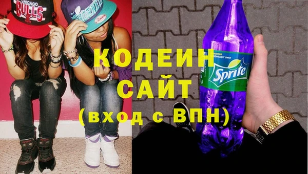 хмурый Бородино