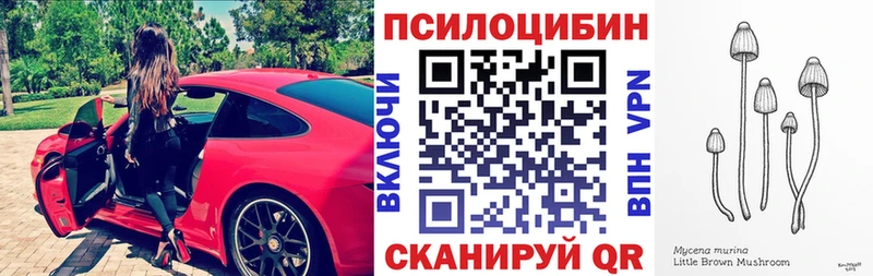 Псилоцибиновые грибы Psilocybe  маркетплейс как зайти  Инсар  сколько стоит 
